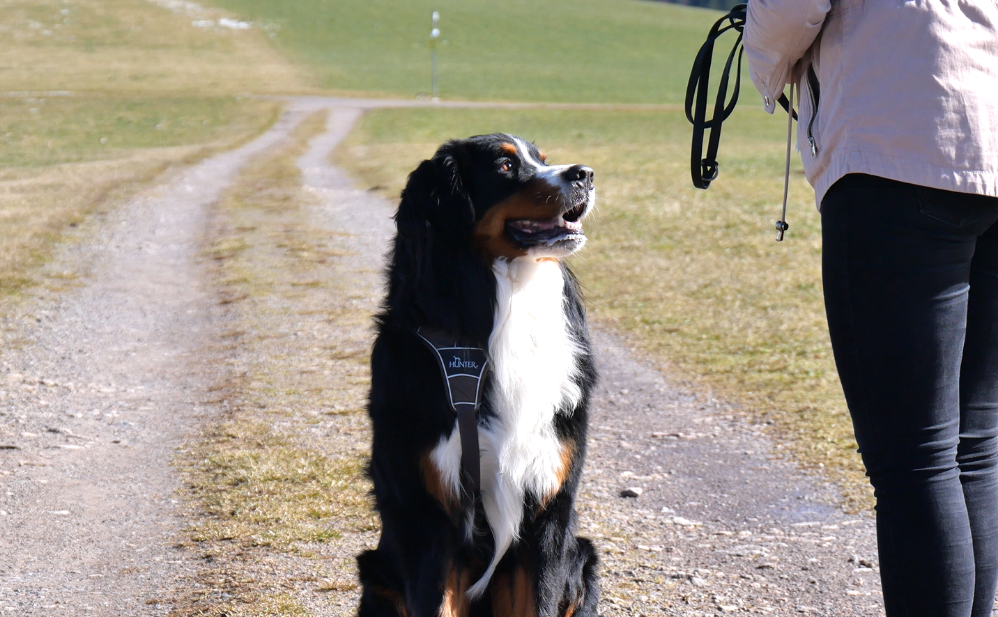 Hundetrainerin Nadja mit Berner Sennenhund Buddy beim Hundetraining