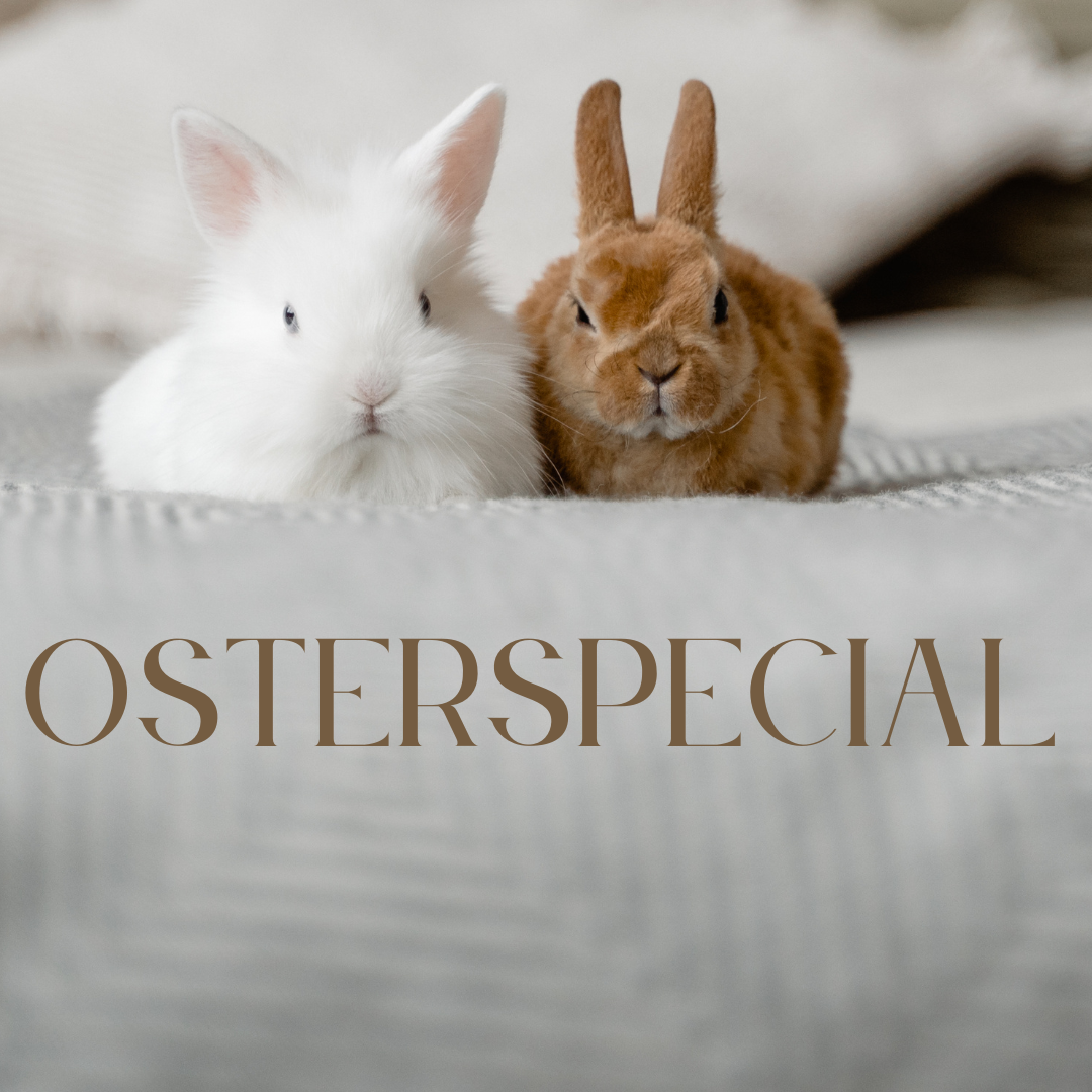 Ostern mit Hund in der Hundeschule N.A.Dogs