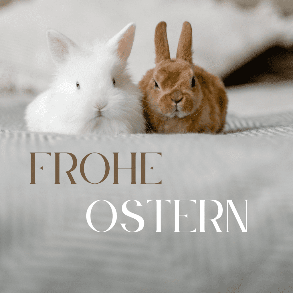 Ostern mit Hund bei N.A.Dogs